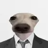 ntnhan_0