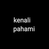 kenali_pahami