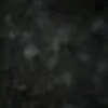 irishebias0