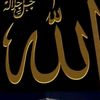 user80381103