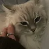 mkitw_k
