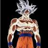 fans_songoku._