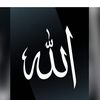 user280689082