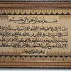 user981194050