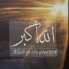 uzmasadaf359