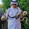 mohammed01230