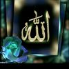 user4624159230238