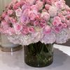naya_altom