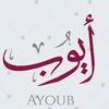 ayyoubides8