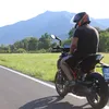 lupo_____