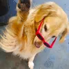 estrelinha_carismatica