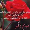 safaaabdulazim1