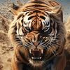 yasir_virk00