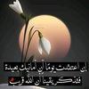 falasten12_