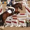 charlotte_eventing