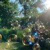bubliebubble