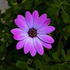 mar_mendez0401