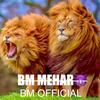 bmmehar05