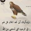 user841752762