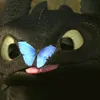 sarah.cat5