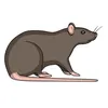 derealizationrat