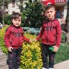 user429517975