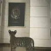 _11uwx