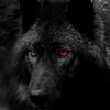 blackwolf7524