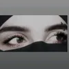 ameiralara4