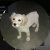 tu_para.ty