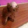 miguel_garcia270610