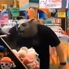 unkownngab