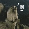 dyw2p7r8qjqo
