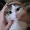 govna_kusok001