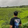 lagi_dicurup