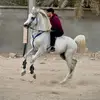 2m2z