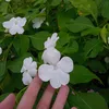 xyqa_1