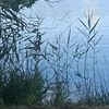 www.titokliloucette08