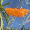 antran_gmail90