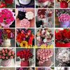 haloula329
