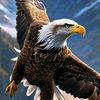 rami.mohamed64