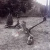 dary_5694