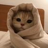 husneb8