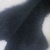 renato382858