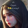 user391844626