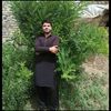 naeemshaheensial
