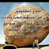 ibrahimzarob0