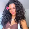 abeatriz40