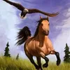 user3801405561796