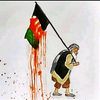 rahbar241